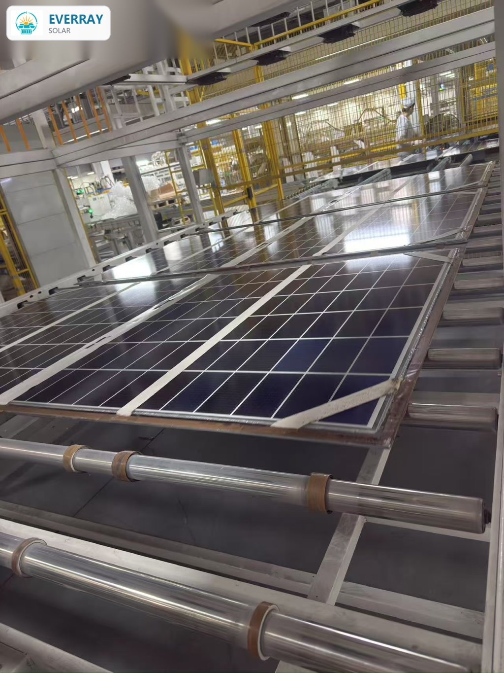 Laminated solar panels exiting the laminator on a production line